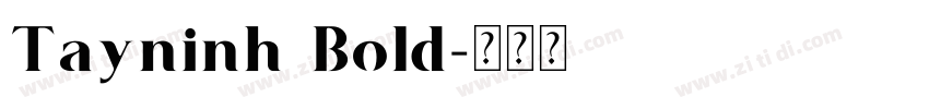 Tayninh Bold字体转换